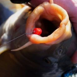 Sonu Band'um Sinkers Fluoro 10mm -Outdoor Gear Store go 438667 e