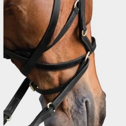 Rambo Micklem Multibridle -Outdoor Gear Store go 477659 c