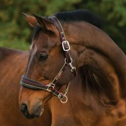 Rambo Padded Headcollar -Outdoor Gear Store go 477690 z
