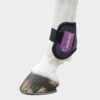 ARMA Fetlock Boots Black/Plum