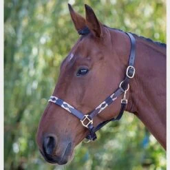 Leather Polo Headcollar 6 Leather Polo Headcollar -Outdoor Gear Store go 477919 b