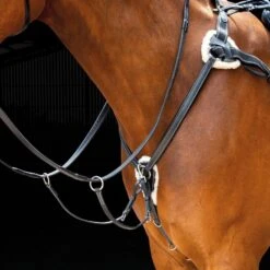 Salisbury 5 Point Breastplate