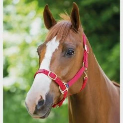 Nylon Headcollar Red -Outdoor Gear Store go 478389 b