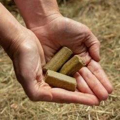 Spearmint Treats -Outdoor Gear Store go 478456 c