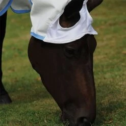 Weatherbeeta Sweet-Itch Shield Combo Neck Fly Rug -Outdoor Gear Store go 479504 d