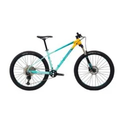 Polygon Xtrada 7 29” Mountain Bike -Outdoor Gear Store go 498344 z