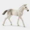 Schleich Holsteiner Foal -Outdoor Gear Store go 499784 a