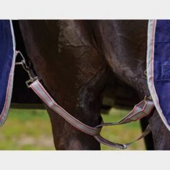 Weatherbeeta ComFiTec Classic 0g Lightweight Standard Neck Turnout Rug 16 Weatherbeeta ComFiTec Classic 0g Lightweight Standard Neck Turnout Rug -Outdoor Gear Store go 517461 e