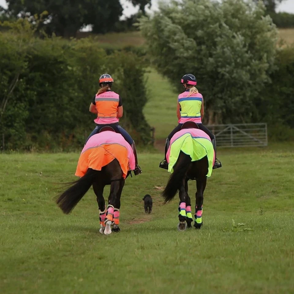 Charlotte Dujardin Multi-Coloured Waistcoat Pink/Orange 7 Charlotte Dujardin Multi-Coloured Waistcoat Pink/Orange - Image 5