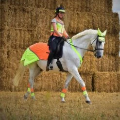 Charlotte Dujardin Multi-Coloured Nose Band -Outdoor Gear Store go 527739 d