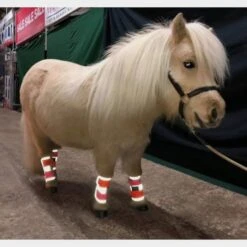 Charlotte Dujardin Multi-Coloured Horse Boots Pink/Orange -Outdoor Gear Store go 527740 c