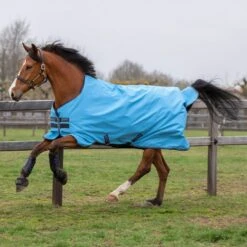 Amigo® Hero 900D Turnout 0g Lite Rug