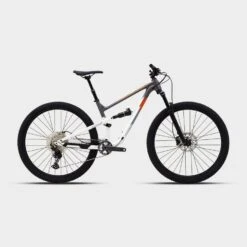 Polygon Siskiu DSE FS